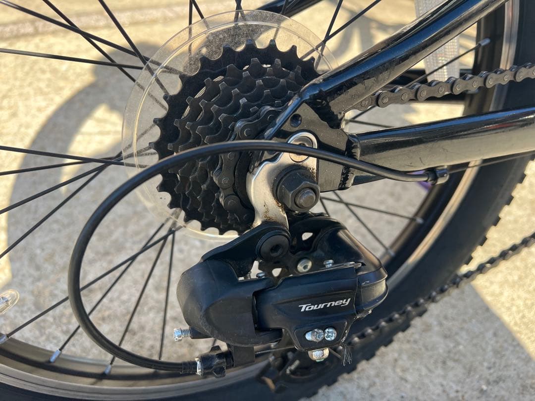 茨城県内手渡し限定トレック20インチ マウンテンバイク キッズ7速ギア