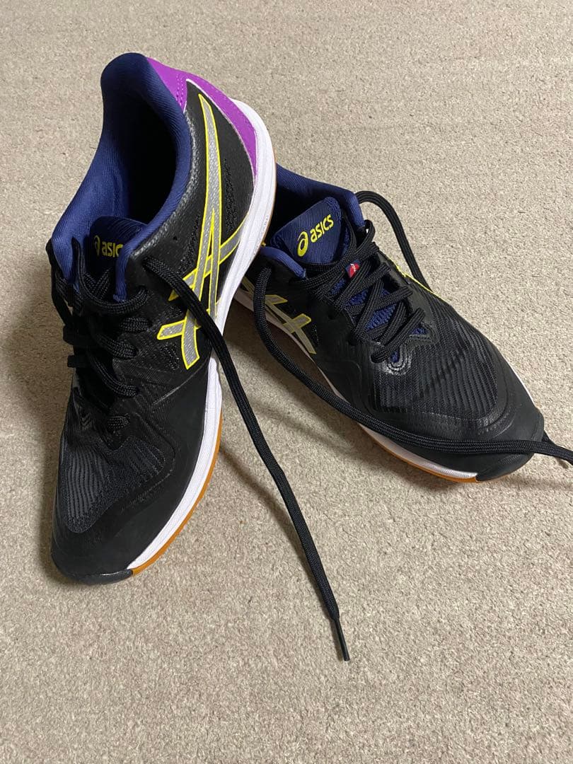 asics ローテ ジャパン ライト FF 3 アルペン限定 25cm