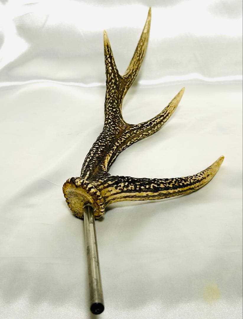 鹿の角　左右セット　テント タープ　希少！4角品（左右8ポイント）