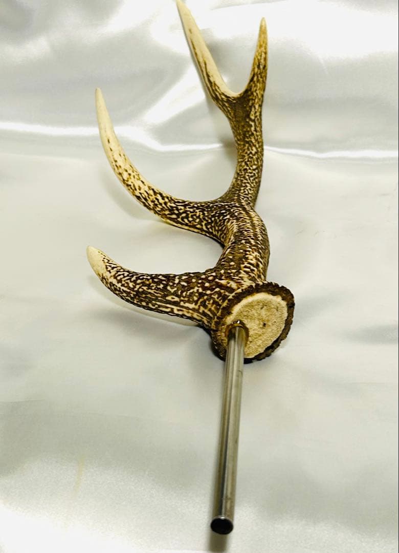 鹿の角　左右セット　テント タープ　希少！4角品（左右8ポイント）