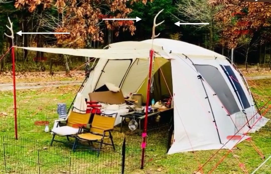 鹿の角　左右セット　テント タープ　希少！4角品（左右8ポイント）