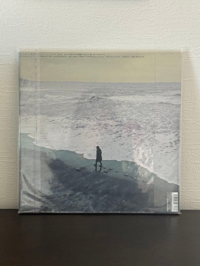 ドレスコーズ　ファーストプレス　サイン入りレコード