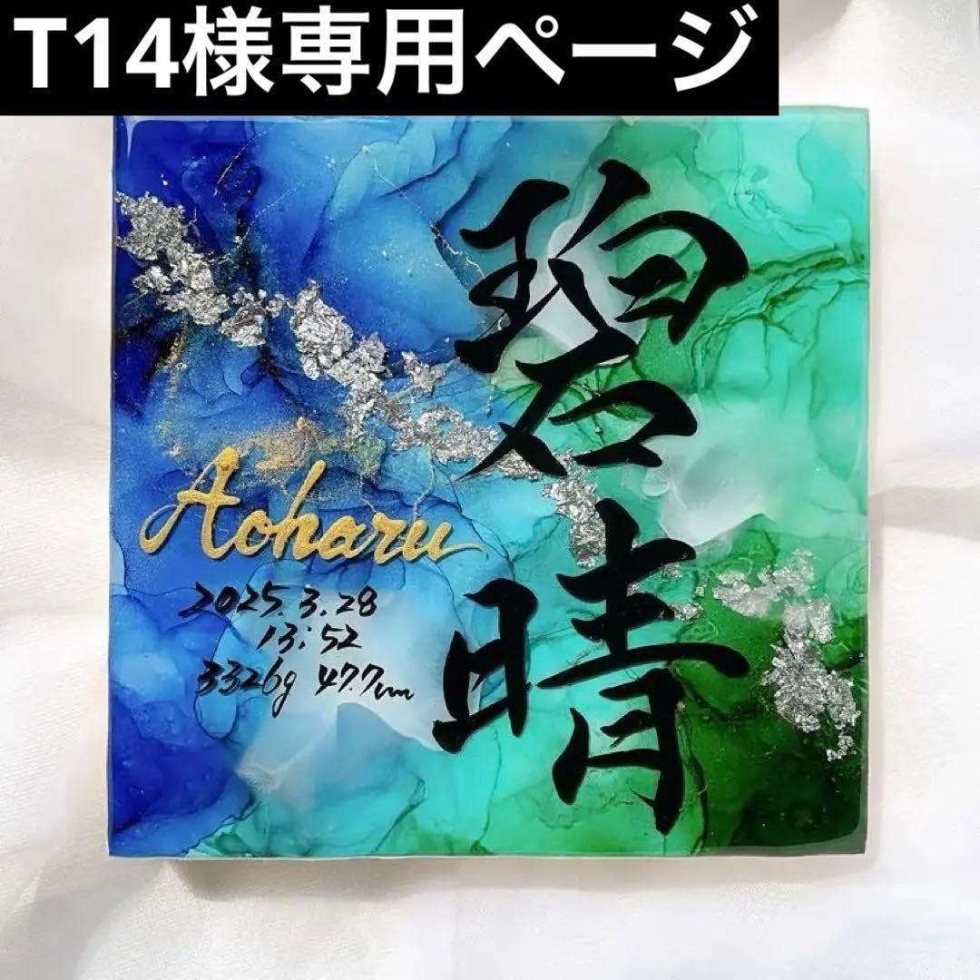 お急ぎ便　T14ページ　アルコールインクアート命名書