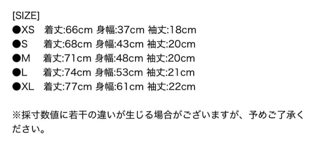 POLO RALPH LAUREN slim fit XS 黒白1枚ずつ