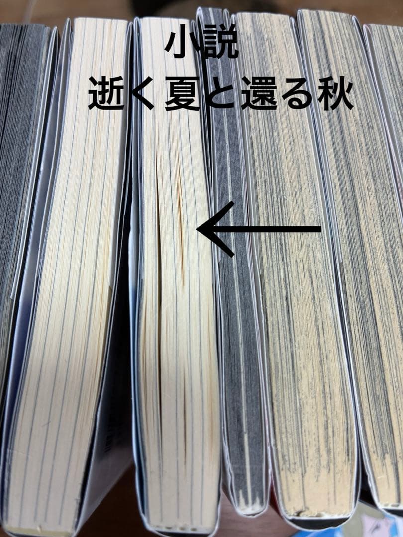 呪術廻戦　全巻　小説　ファンブック　セット