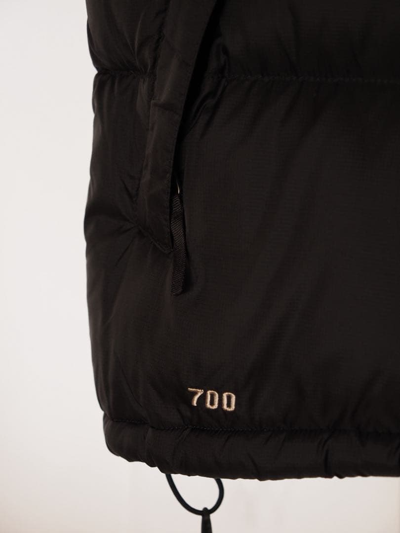 THE NORTH FACE ダウンベスト F10PA21