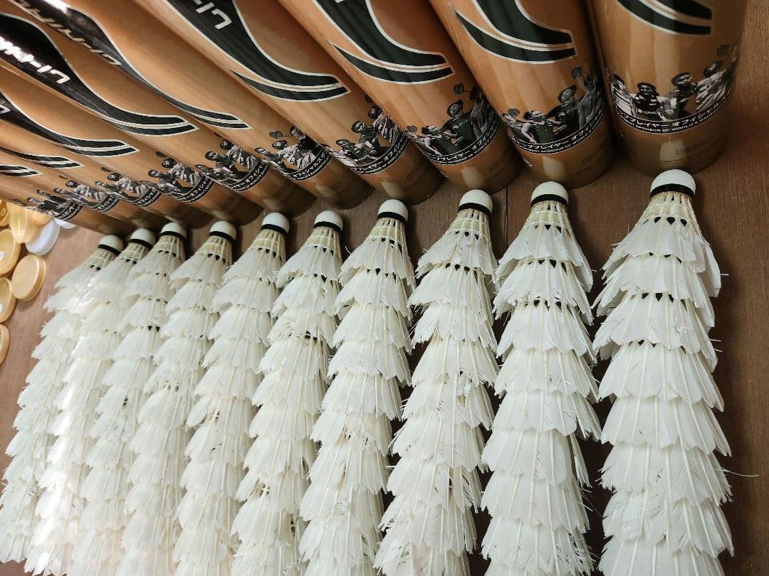 【第1種検定球】リーニン FA+500 中古シャトル 120球（10ダース）