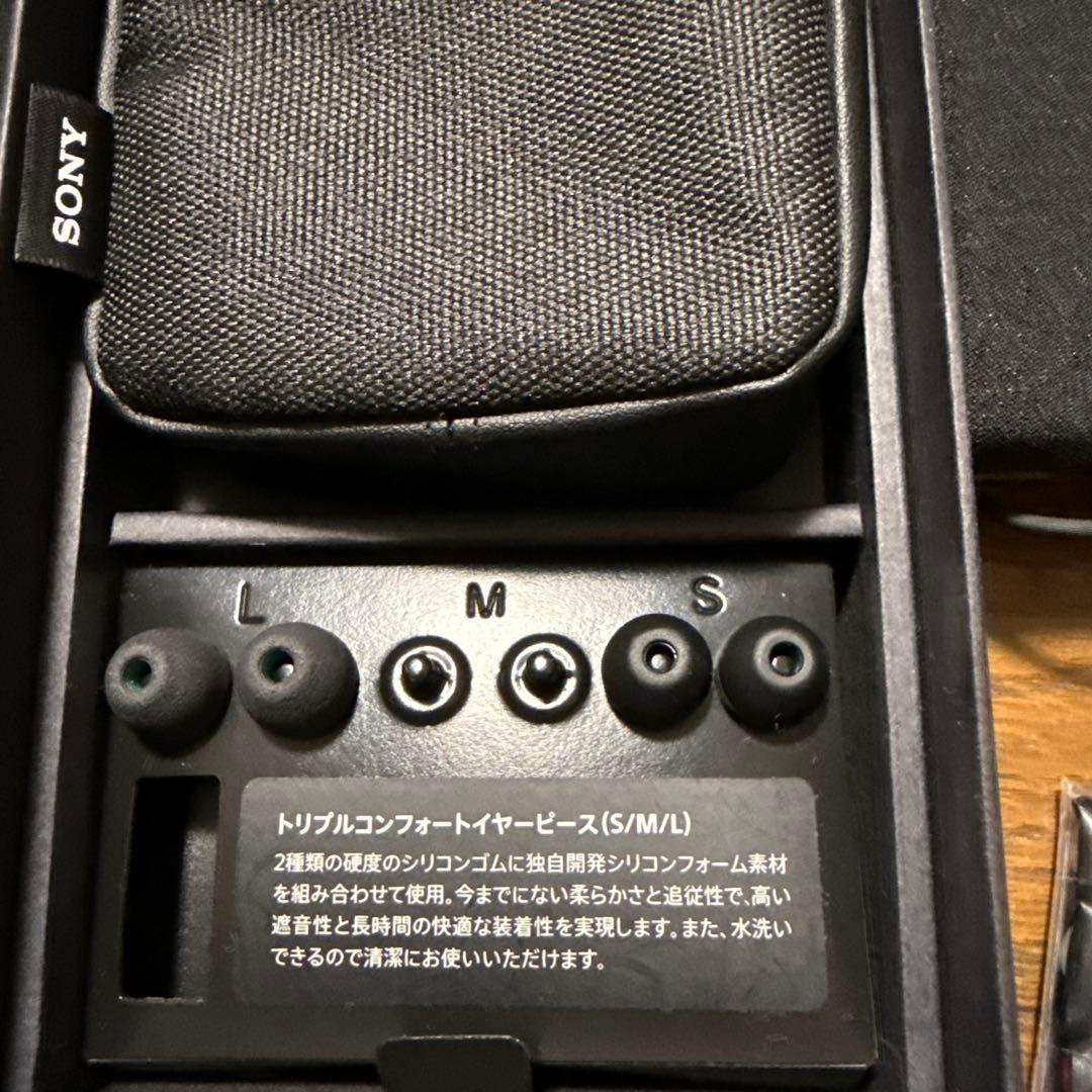 SONY XBA-N1 有線イヤホン グレー