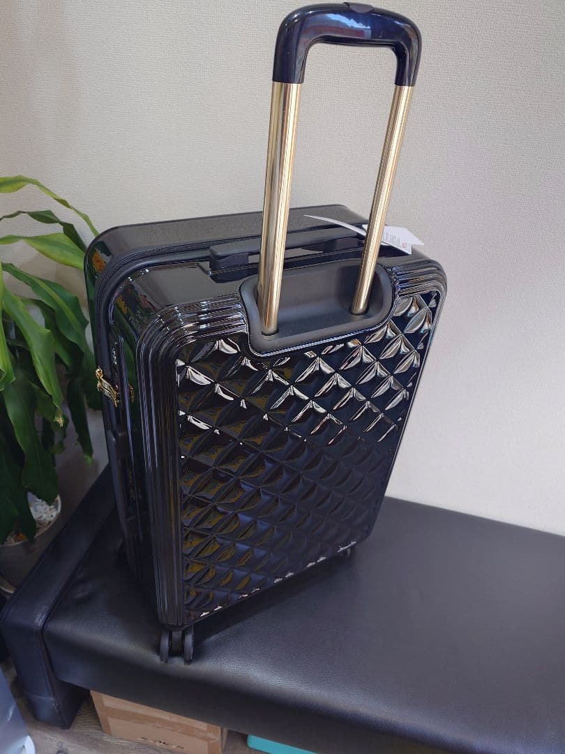 タグ付き未使用　セシルマクビー　キャリングケース　Lサイズ