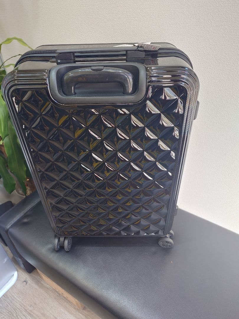 タグ付き未使用　セシルマクビー　キャリングケース　Lサイズ