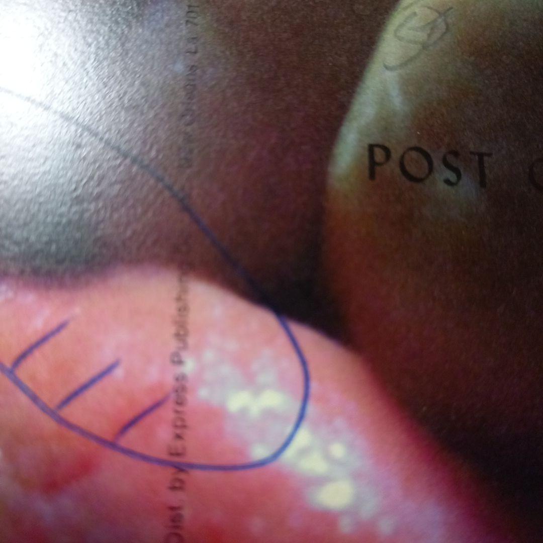 安楽寺えみ写真集　洋書　e hagaki　限定500部　直筆サイン.イラスト入り