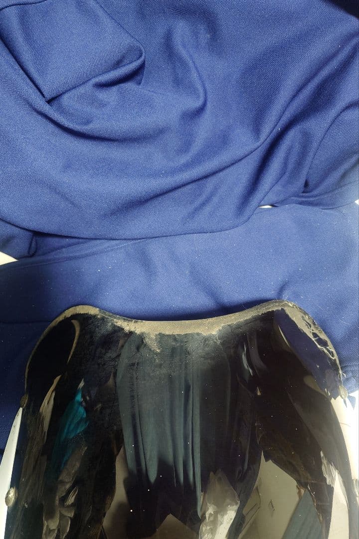 nプロジェクト ブラスター2 ビキニカウル 汎用