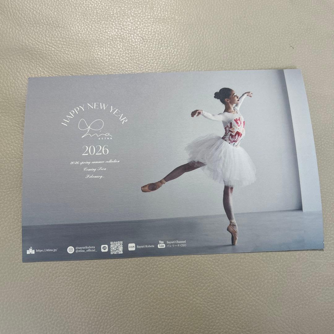 Stina 新品レオタードM ランドリーネット、ポストカード付き！