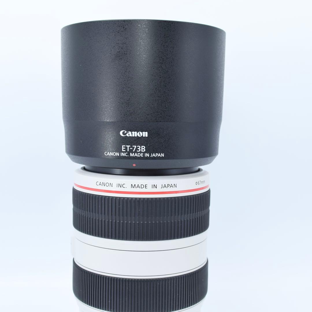 レンズ(ズーム) Canon EF 70-300mm f/4-5.6L IS USM