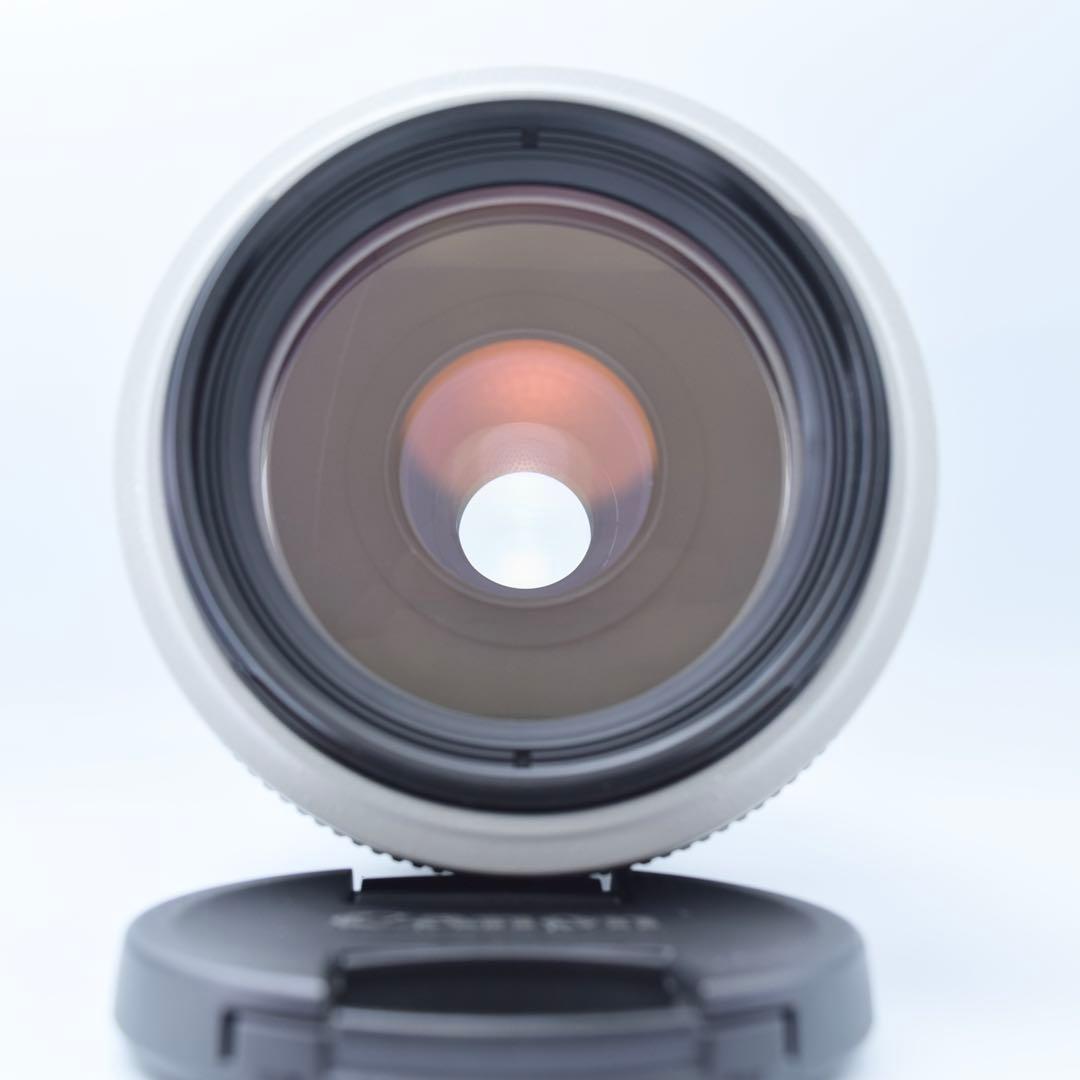 レンズ(ズーム) Canon EF 70-300mm f/4-5.6L IS USM