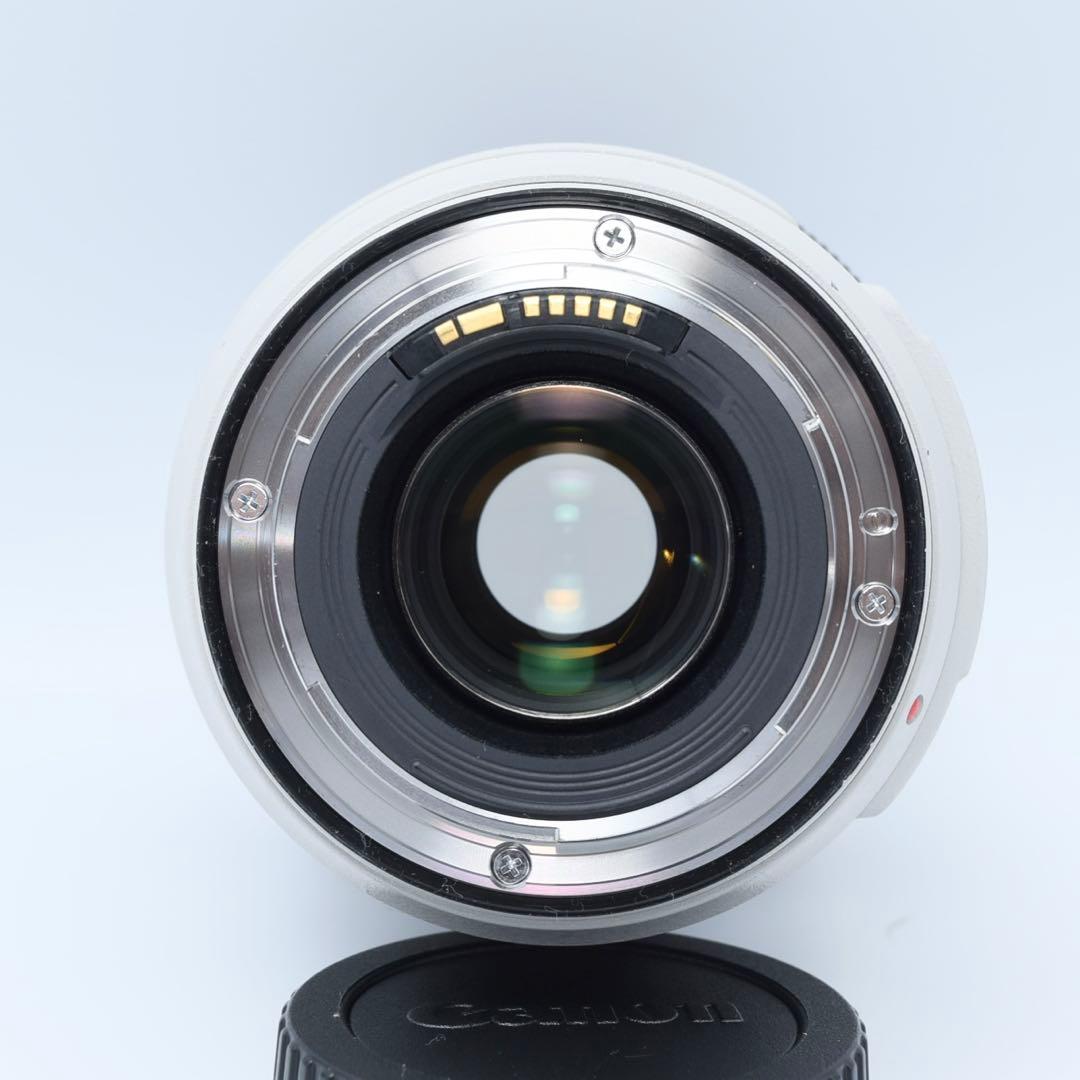 レンズ(ズーム) Canon EF 70-300mm f/4-5.6L IS USM