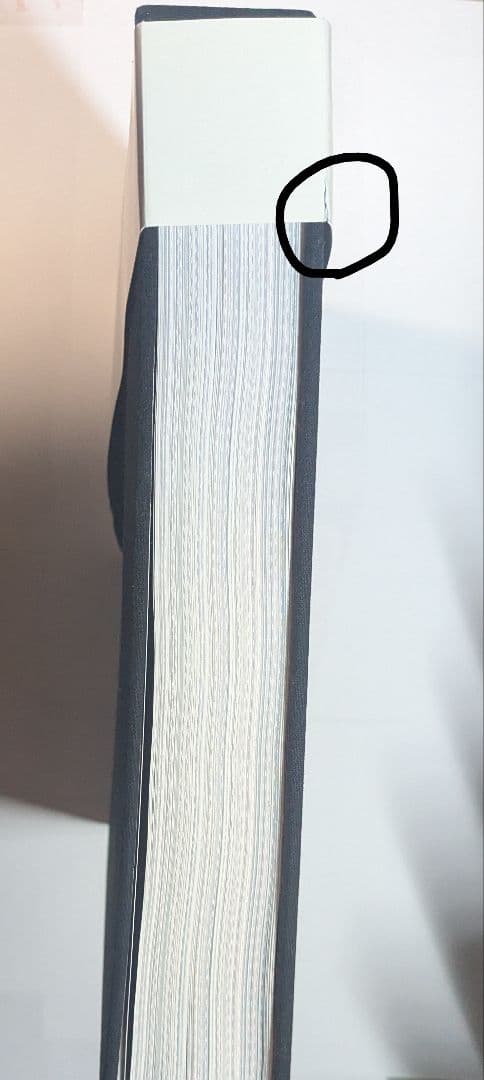 ティムバートンの世界 画集 The Art of Tim Burton