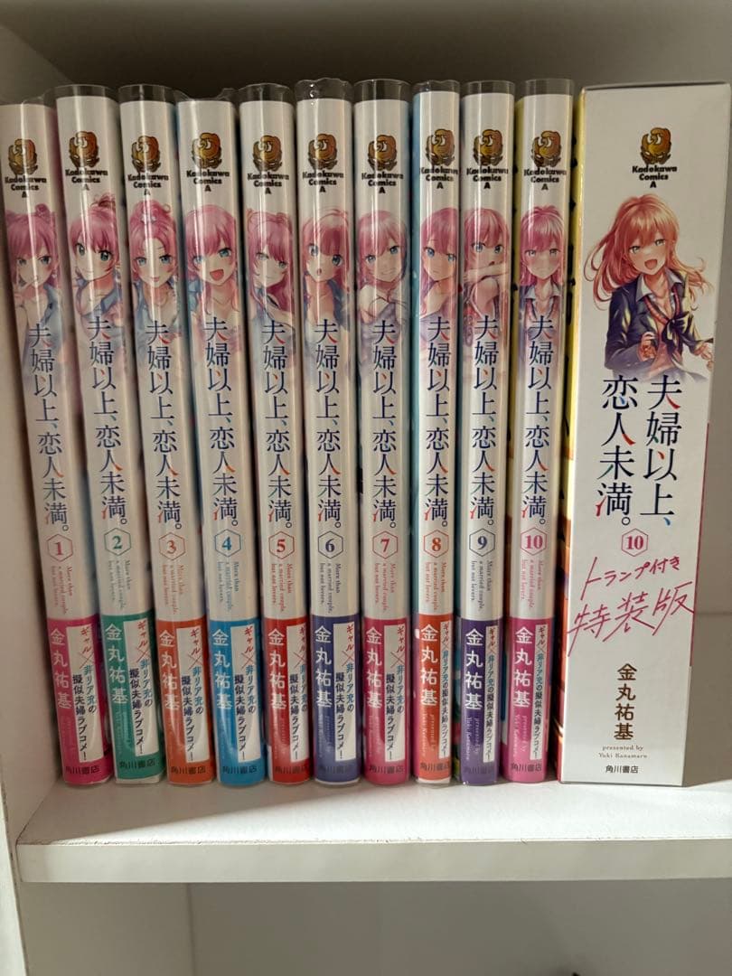 夫婦以上、恋人未満　1〜10巻＋特装版