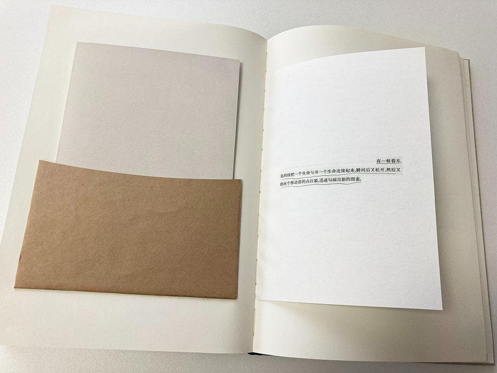 楊圓圓 / 在克拉科夫的十日