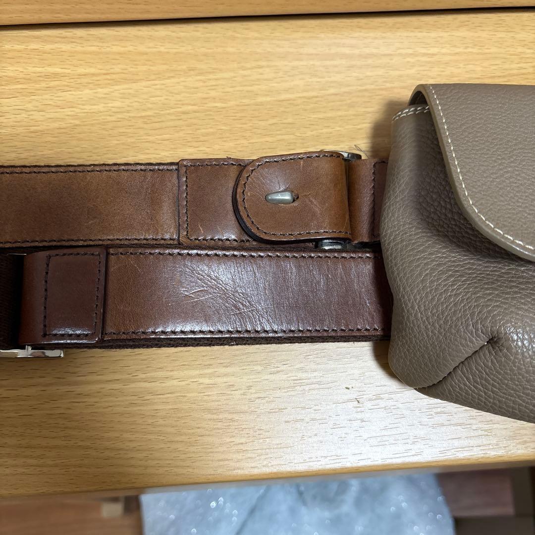 ワイルドスワン