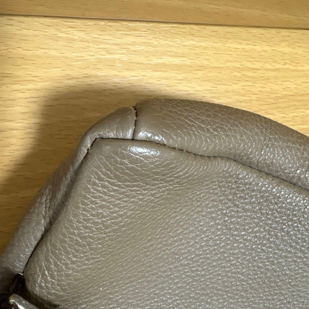 ワイルドスワン