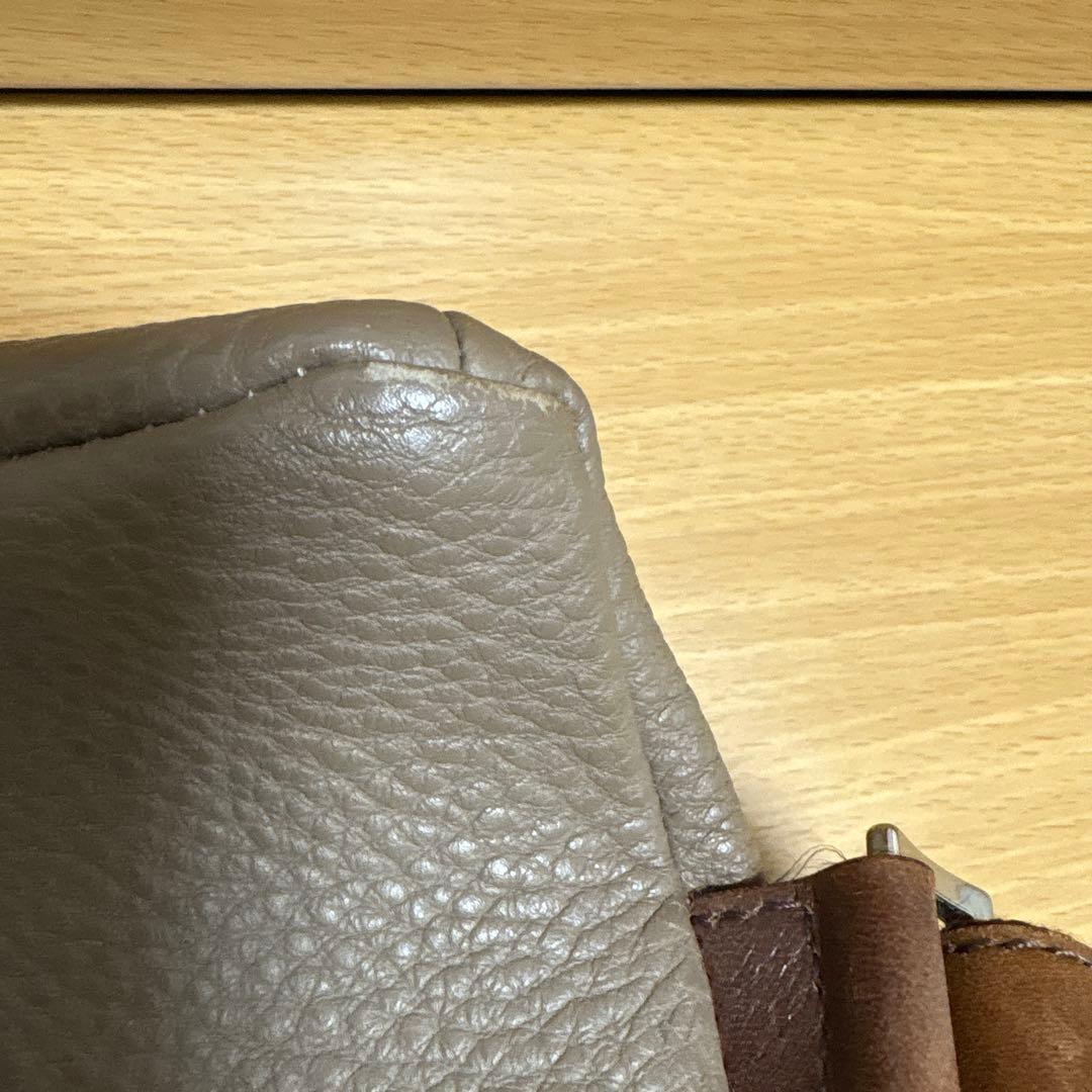 ワイルドスワン