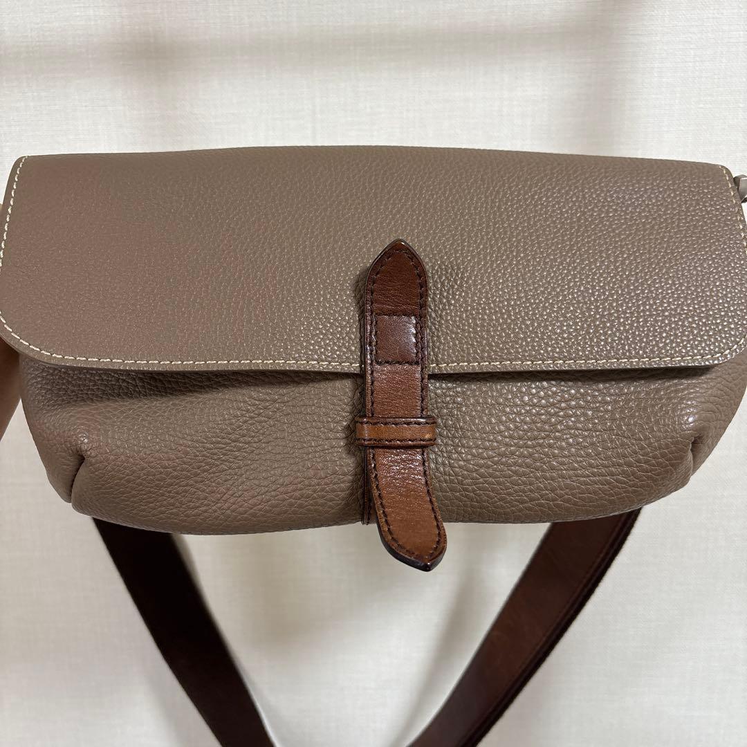 ワイルドスワン