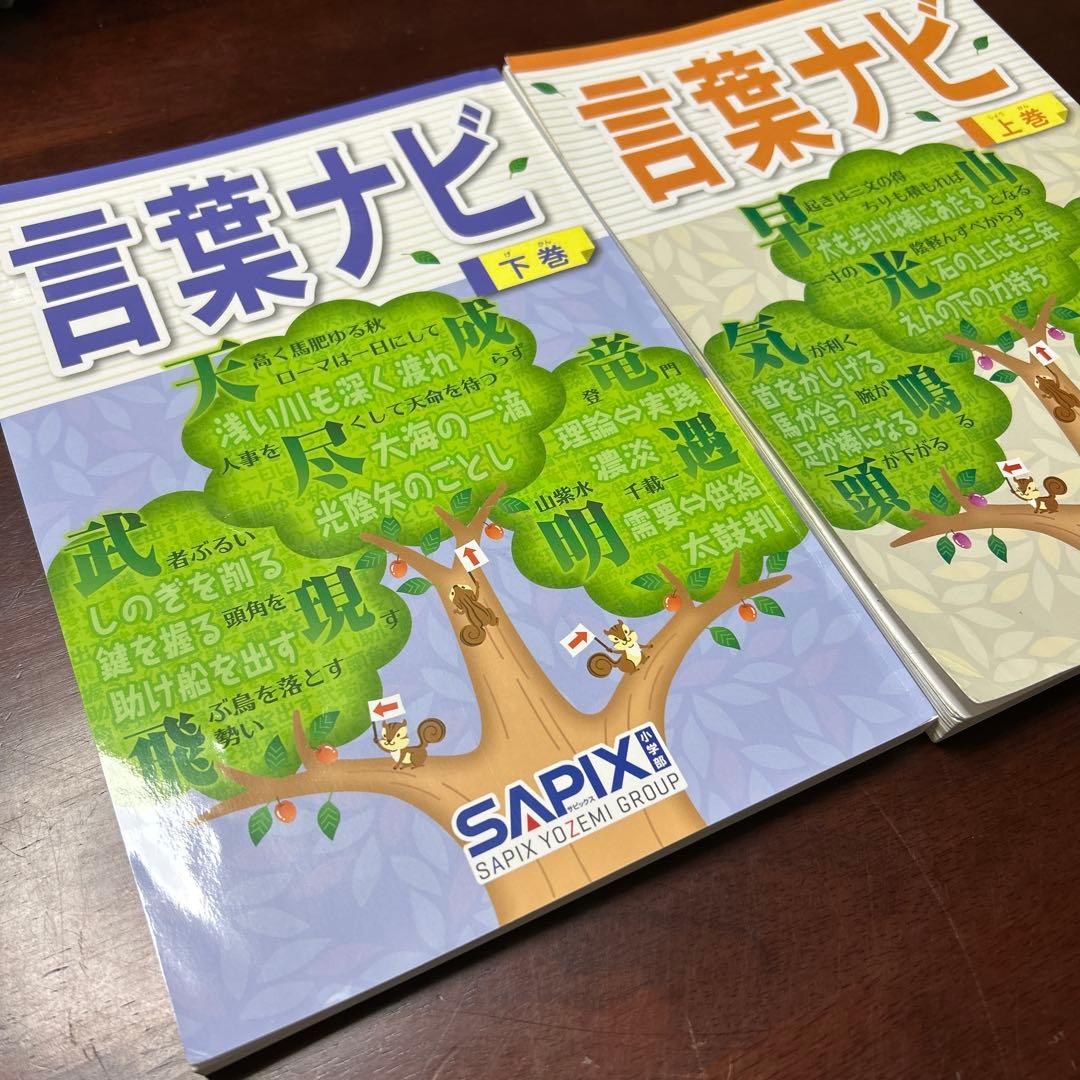 22-20ち　重要教材　サピックス　SAPIX 言葉ナビ 上巻・下巻セット