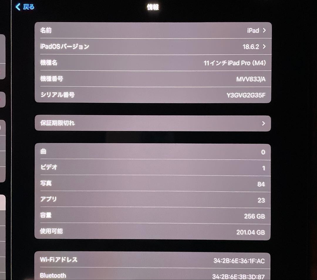 た*し様 iPad pro 11インチ M4 【2024】 256GB Wi-F