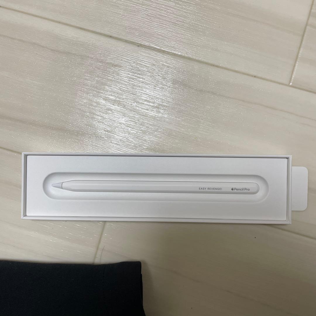 た*し様 iPad pro 11インチ M4 【2024】 256GB Wi-F