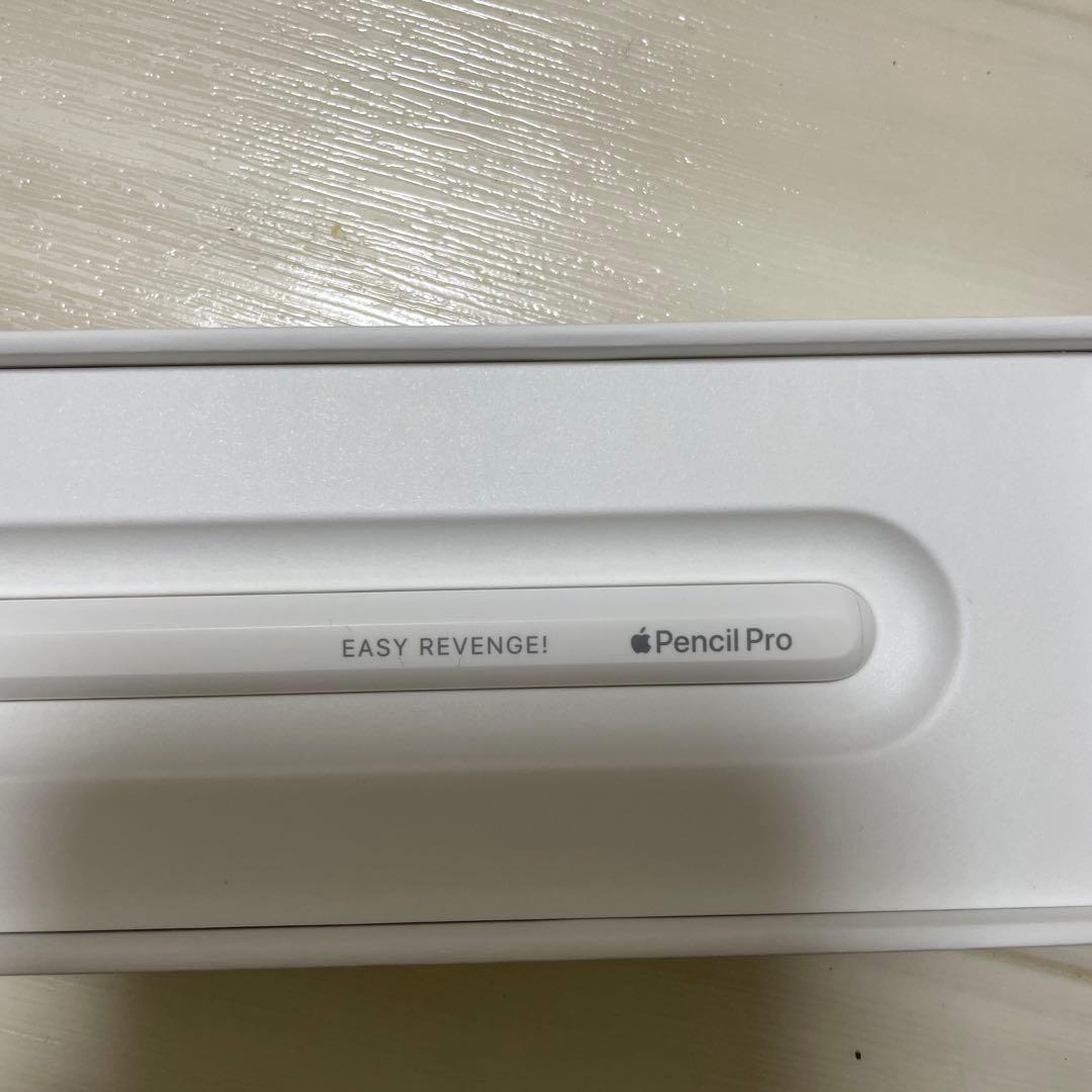 た*し様 iPad pro 11インチ M4 【2024】 256GB Wi-F