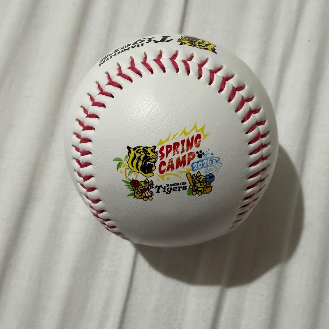 阪神タイガース 早瀬朔 直筆サインボール 沖縄限定 ロゴ 2026 言葉入り