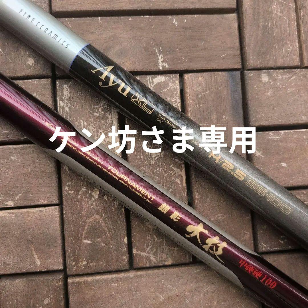 ダイワ 銀影大技中硬硬100 ＆ シマノAYU XL H/2.5 95-100