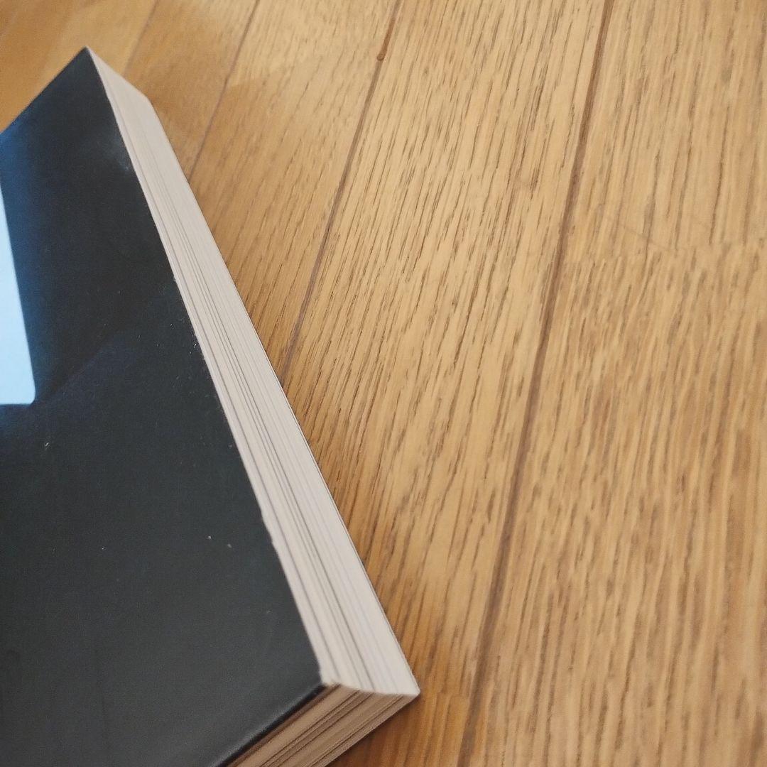 洋書 James Turrell the other horizon