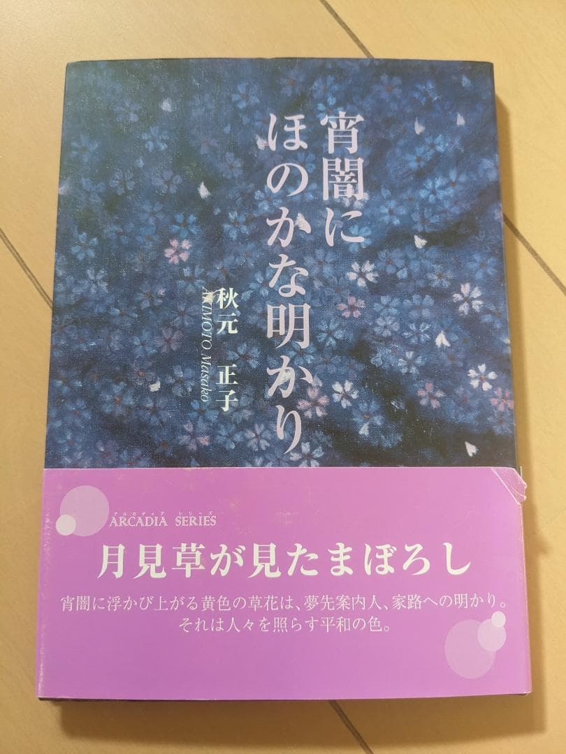 宵闇にほのかな明かり