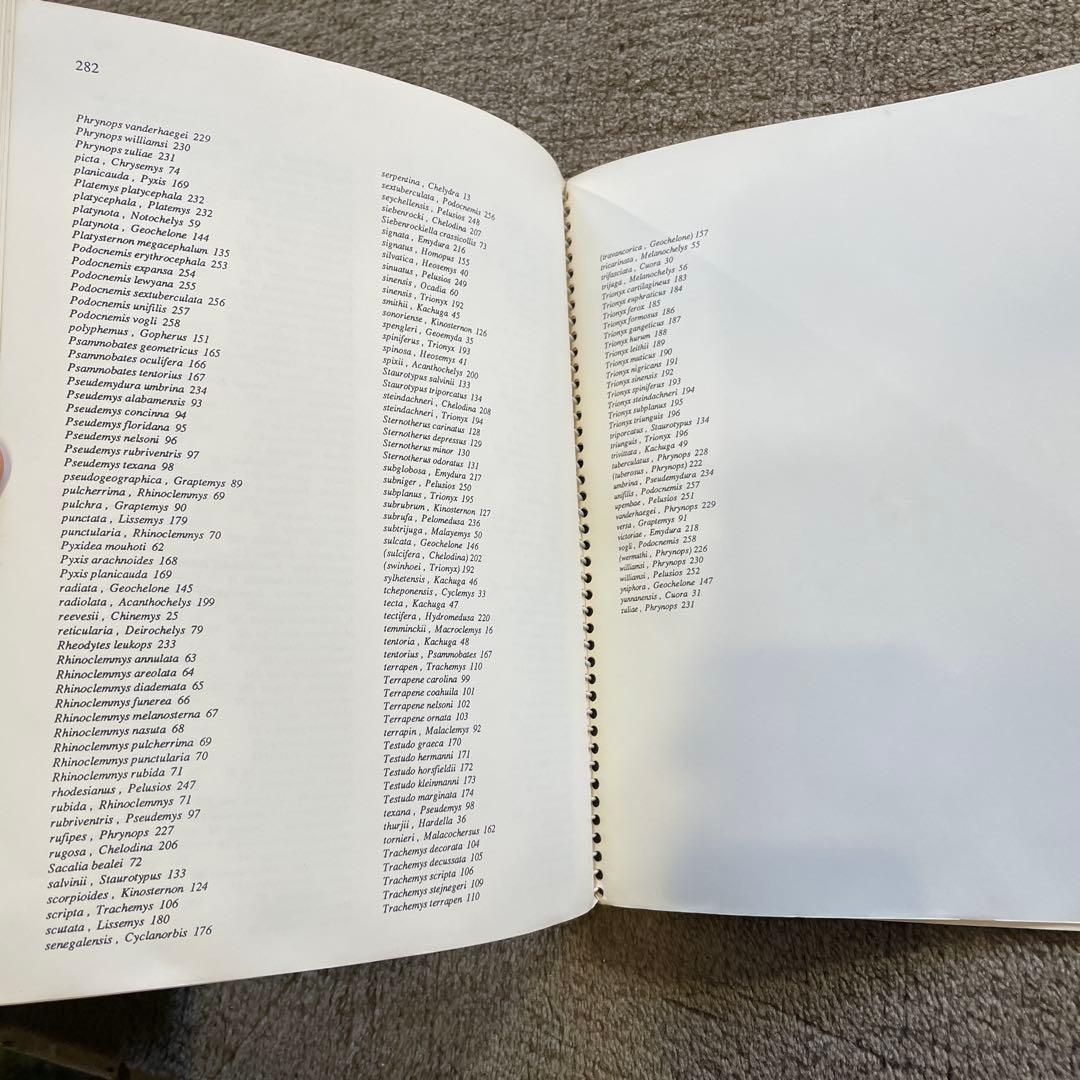 1986年 世界のカメのチェックリストと分布図 ジョン・B・アイバーソン 研究書