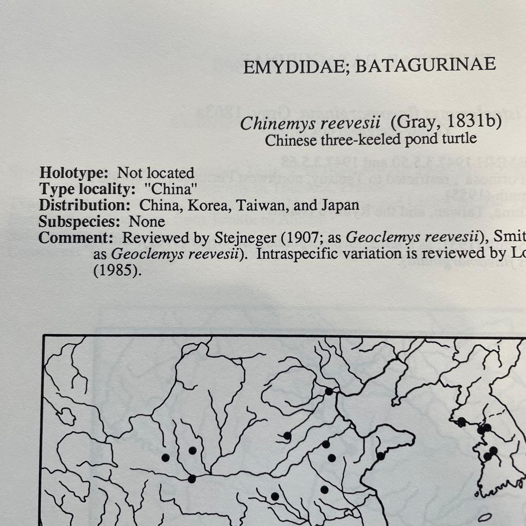 1986年 世界のカメのチェックリストと分布図 ジョン・B・アイバーソン 研究書