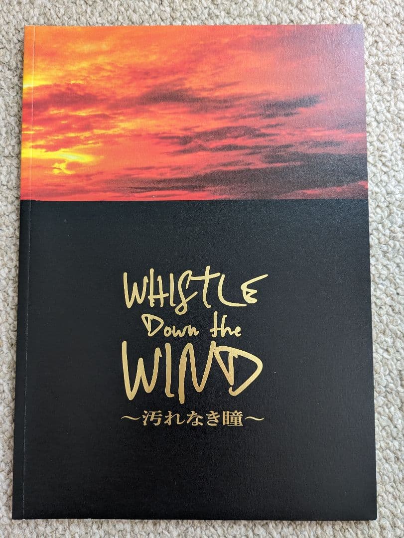 ホイッスル・ダウン・ザ・ウィンド〜汚れなき瞳〜　パンフレット