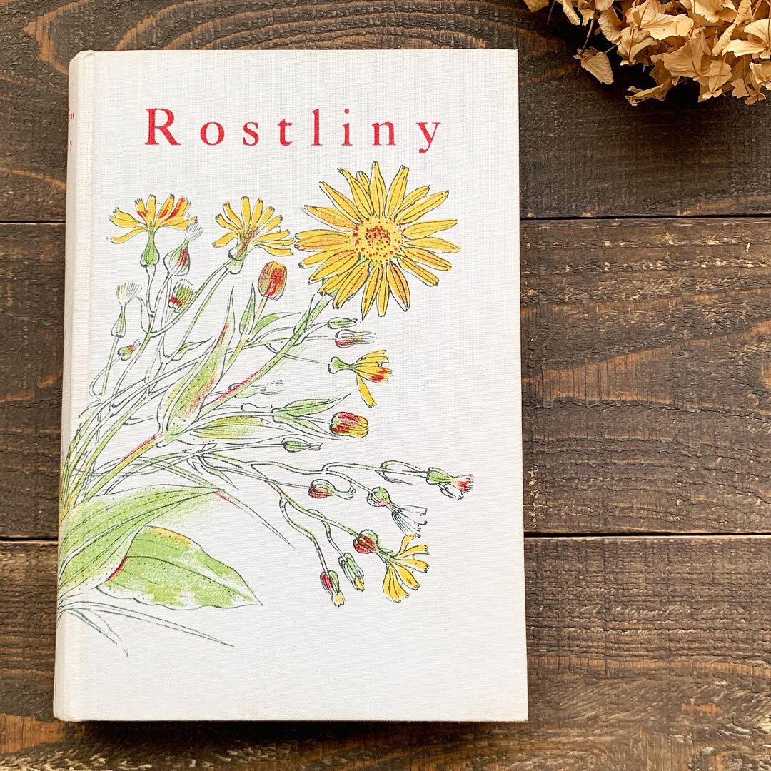 [158点の美しい植物画]チェコの古いさ植物図鑑(1936年)/ボタニカルアート