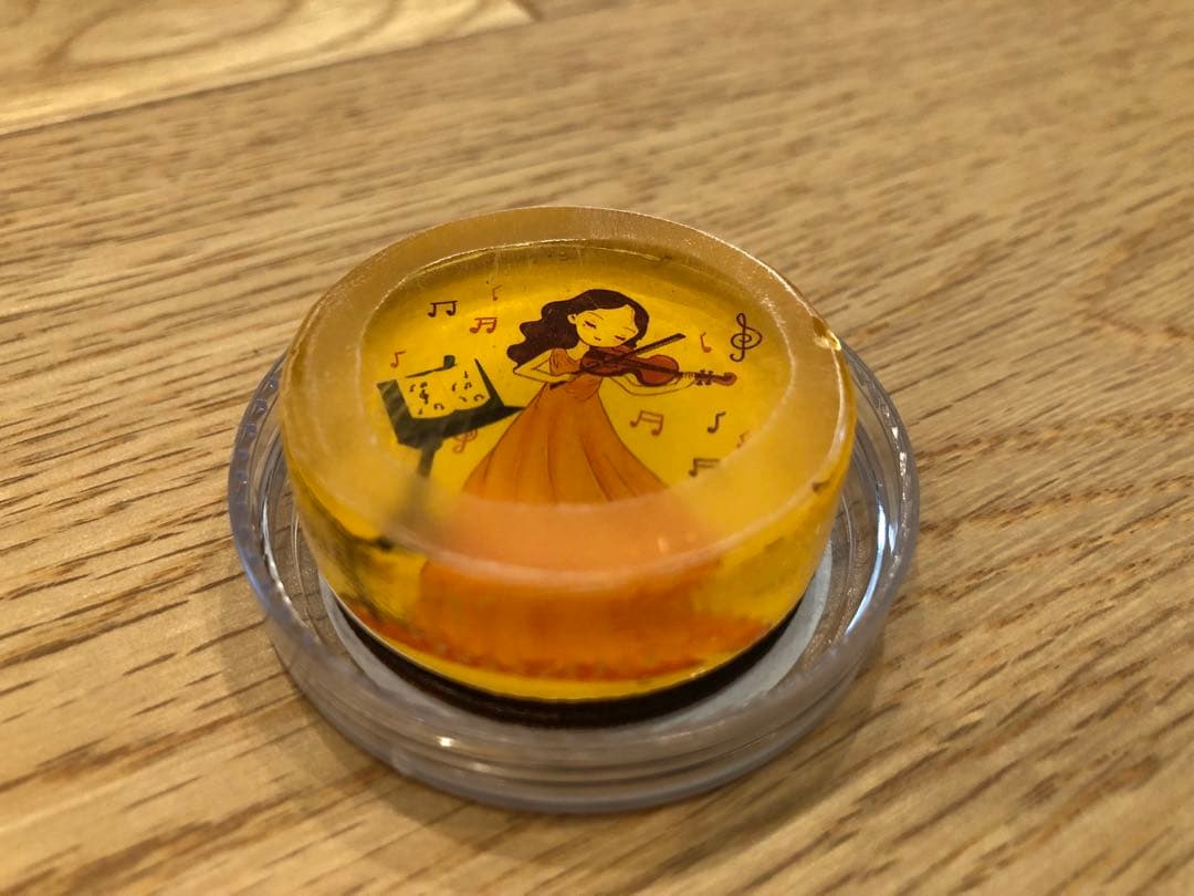 蘇州二胡（ケース、ロジン、弱音器付き）