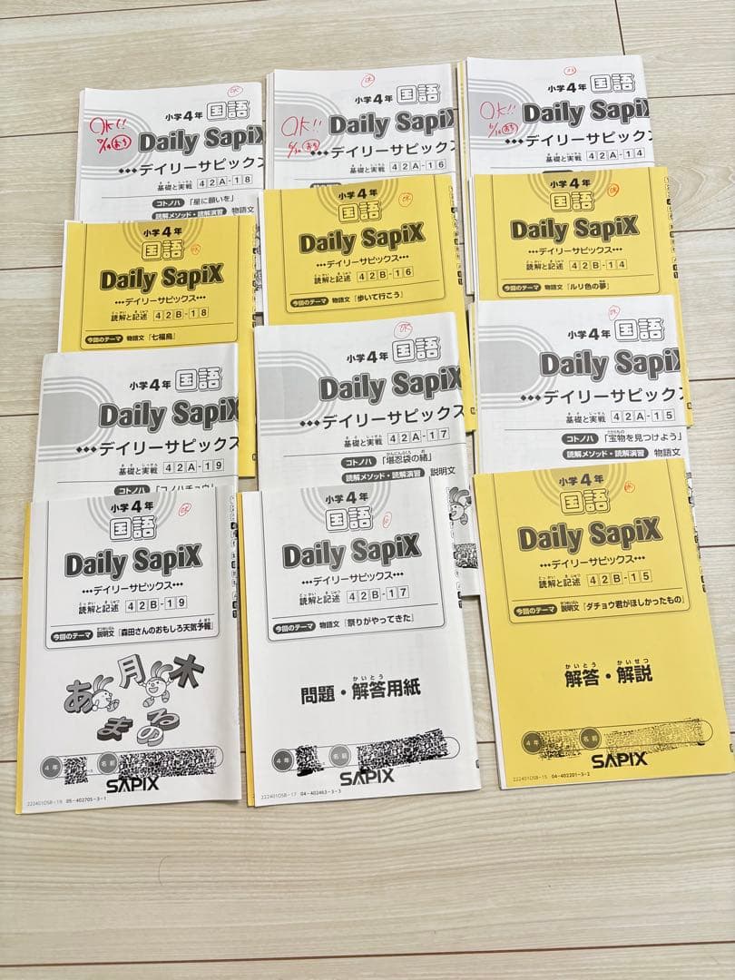 サピックス　4年生　平常、春夏冬講習　テキスト　一年分フルセット 国語