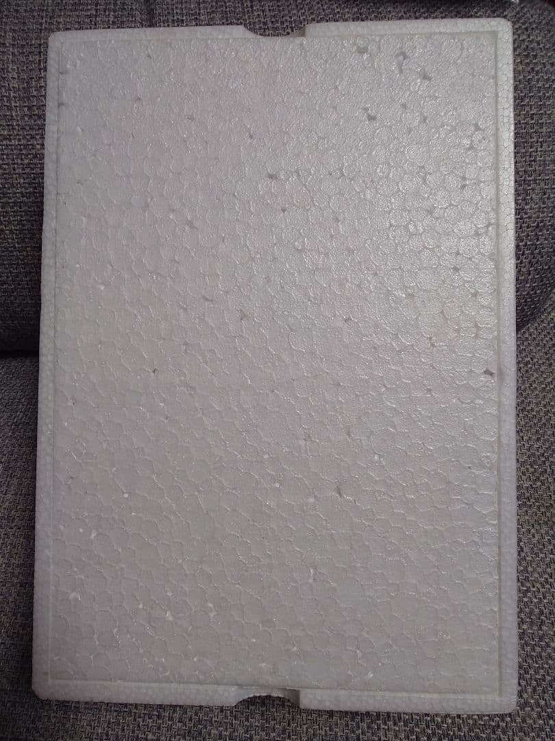 THE DRACULA ゲーム機 Tsukuda