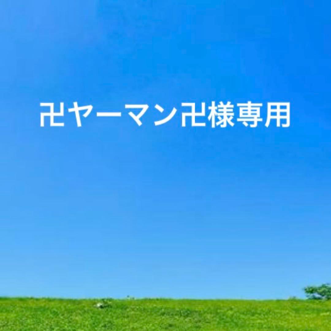 未使用　GUCCIグッチ　レザー×キャンバス　GG ブラック　黒