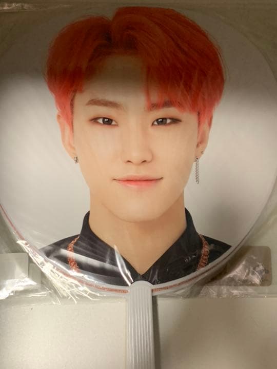 ホシ　うちわセット