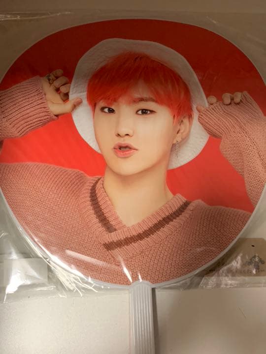 ホシ　うちわセット