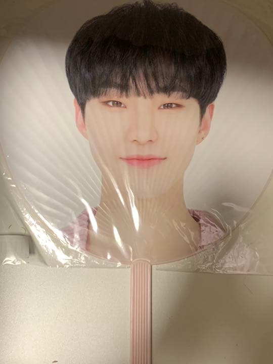 ホシ　うちわセット