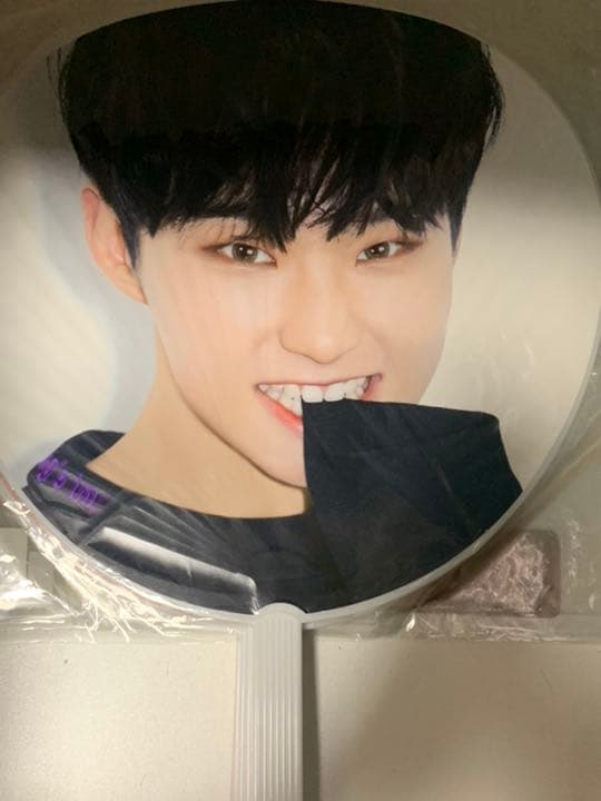 ホシ　うちわセット