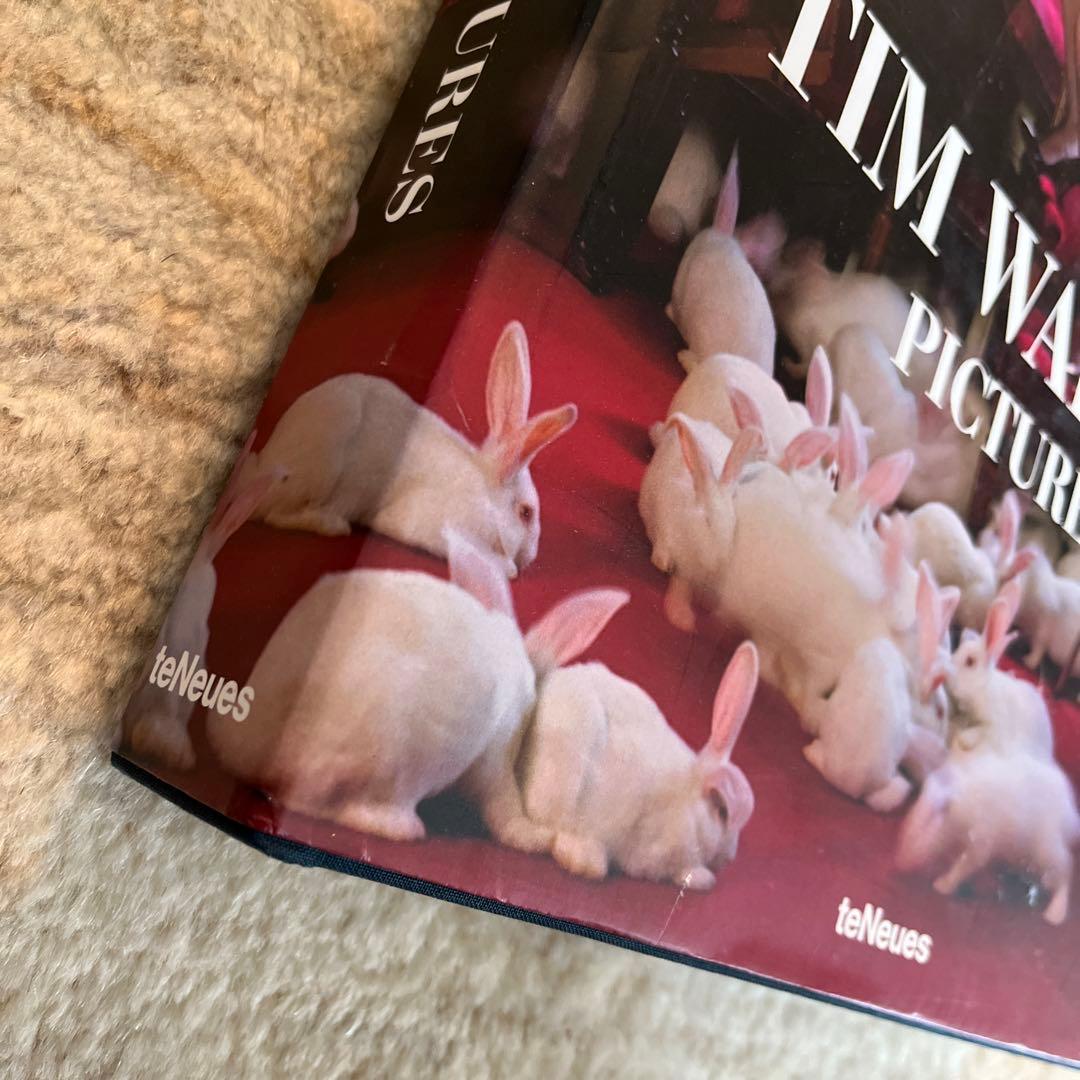 アート・デザイン・音楽 Tim Walker Pictures