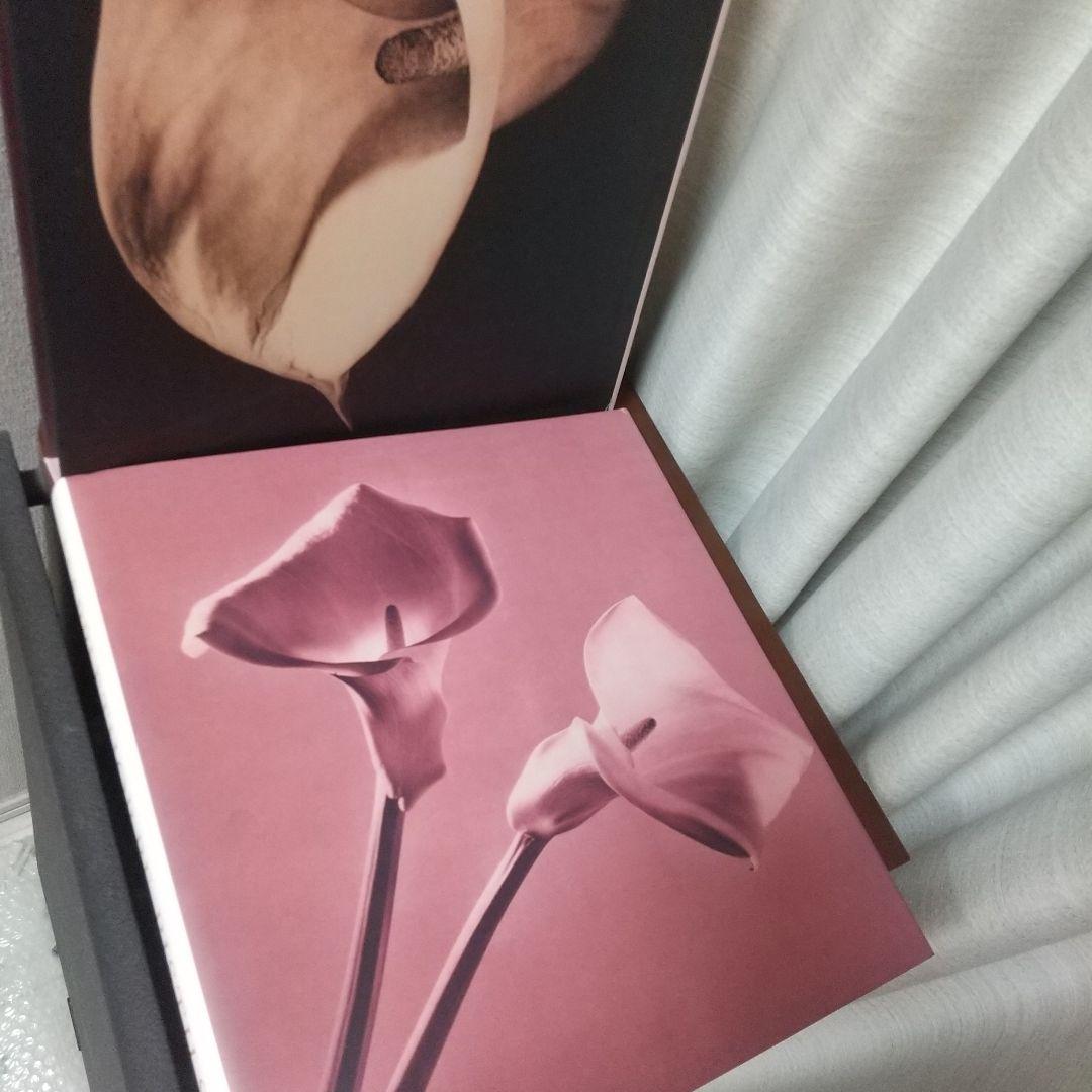 Robert Mapplethorpe Pistils写真集花特集