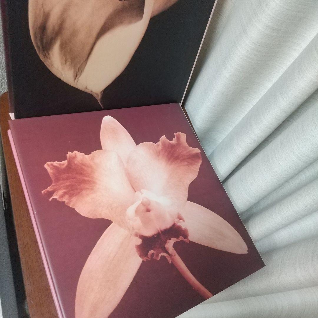 Robert Mapplethorpe Pistils写真集花特集